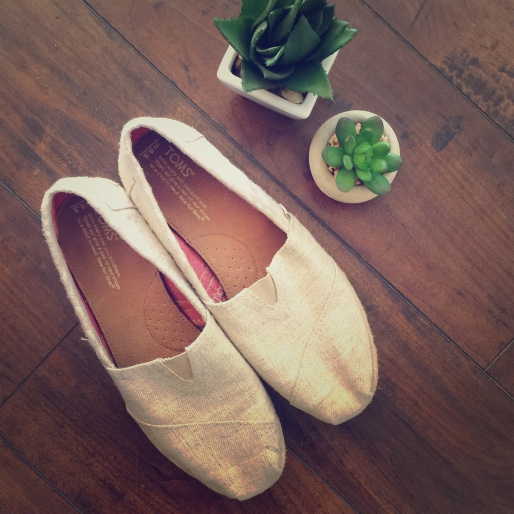 🌻Canvas TOMS🌻